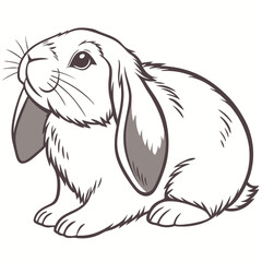 Detailed Line Art Illustration of a Lop Eared Rabbit Sitting Down