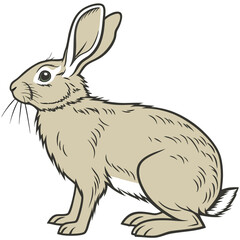 Illustration of a alert, cartoonish hare with detailed fur and long ears