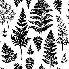 Seamless vector pattern with black silhouettes of wild meadow herbs and flowers. Botanical floral background for fabric, wrapping paper, eco packaging, wallpapers, and digital design.