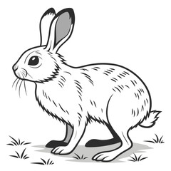 Fototapeta premium Stylized Illustration of a Hare on a Grassy Patch in Black and White