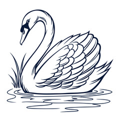 Obraz premium Black swans gracefully illustrate love on the lake, their silhouettes a symbol of nature's design