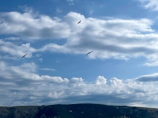 Urlaub, Kroatien, Insel, Krk