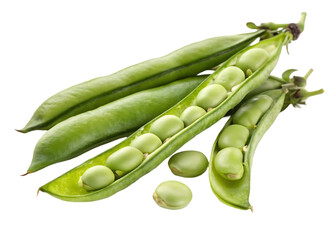 Green bean pods and seeds