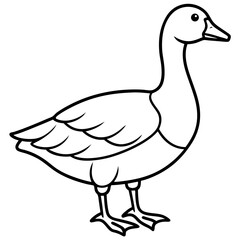 Simple Snow Goose Drawing