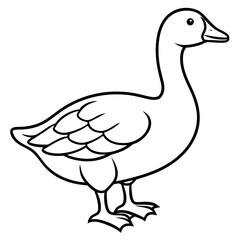 Simple Snow Goose Drawing