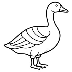 Simple Snow Goose Drawing