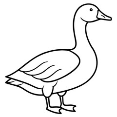 Simple Snow Goose Drawing