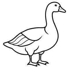 Simple Snow Goose Drawing