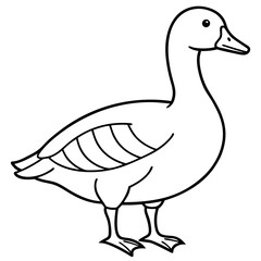 Simple Snow Goose Drawing