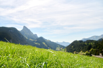Lush green grass stretches across the foreground, revealing distant mountains and a bright blue sky...