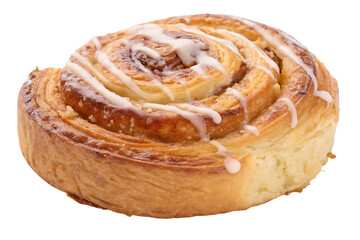 Raisin Swirl Pastry Closeup