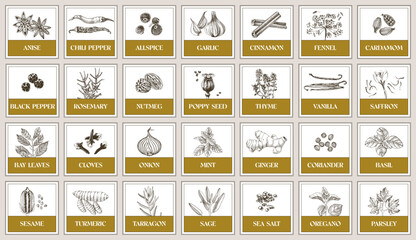 Stickers for kitchen with herbs and spices