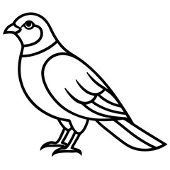 Sparrowhawk Vector Outline