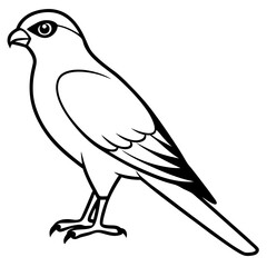 Sparrowhawk Vector Outline