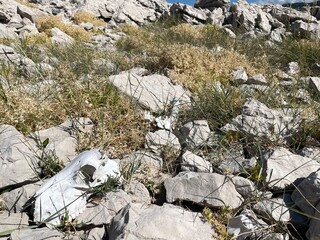 Urlaub Kroatien Insel Krk