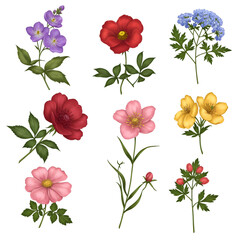 Colorful floral digital art