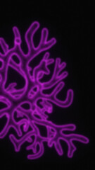 Abstract purple branching structure against a dark background showcasing irregular lines and a cellular like design