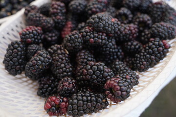 Berries on a large plate on the table. Summer harvest.