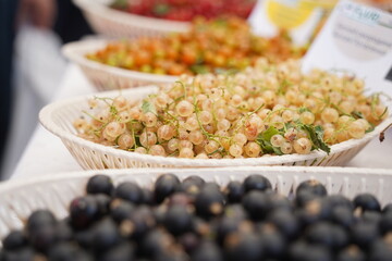 Berries on a large plate on the table. Summer harvest.