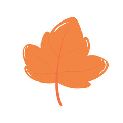 Illustration of a Single Orange Autumn Leaf