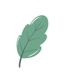 Green Leaf Illustration