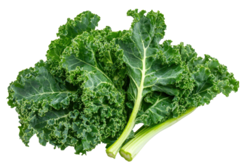 Fresh kale leaves featuring a rich green color and crisp texture perfect for healthy meals or salads enhances any culinary creation