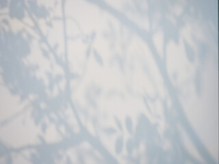 Light passing through tree leaves casting soft transparent shadows on wall – an abstract yet...