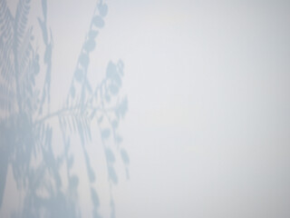 Botanical shadow overlay of springtime leaves and twigs on light grey concrete wall – ideal for...