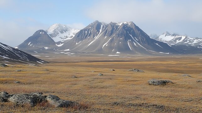 Expansive arctic tundra landscape featuring snow-capped mountains in the background under a muted sky. Foreground shows dry, golden grasses and scattered rocks