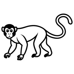 Spider Monkey Ink Line Art