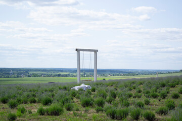 swing in a lavender field. photo spot
