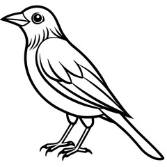 Weaver Bird Silhouette Vector Drawing