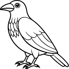 Weaver Bird Silhouette Vector Drawing