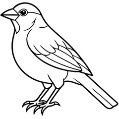 Weaver Bird Silhouette Vector Drawing