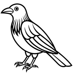 Weaver Bird Silhouette Vector Drawing