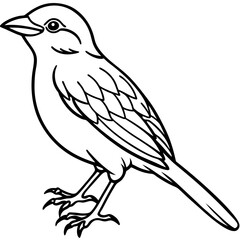Weaver Bird Silhouette Vector Drawing