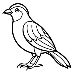 Weaver Bird Silhouette Vector Drawing