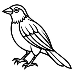 Weaver Bird Silhouette Vector Drawing