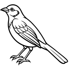 Weaver Bird Silhouette Vector Drawing