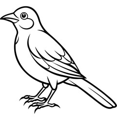 Weaver Bird Silhouette Vector Drawing