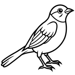 Weaver Bird Silhouette Vector Drawing