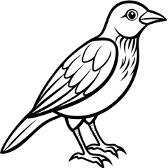 Weaver Bird Silhouette Vector Drawing