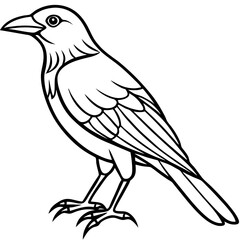 Weaver Bird Silhouette Vector Drawing