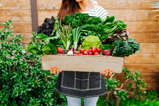 Farm to Table Vegetable Bounty