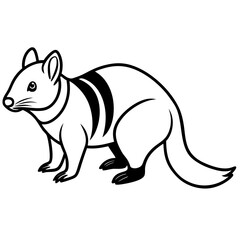 Wild Zorilla Line Art Graphic