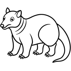 Wild Zorilla Line Art Graphic