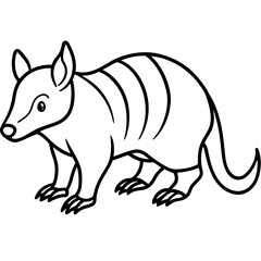 Wild Zorilla Line Art Graphic