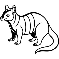 Wild Zorilla Line Art Graphic