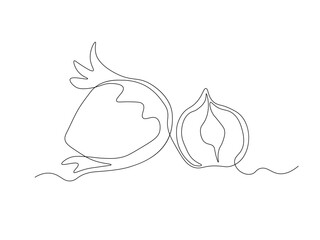 Abstract hazelnut, filbert, continuous single one line art hand drawing sketch logo