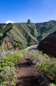 Mountain road TF-134, Anaga, Island Tenerife, Canary Islands, Spain, Europe.
